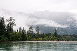 Pacific skyline, Kitlope Heritage Conservancy.jpg