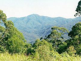 Mount Banda Banda seen from Number 1 fire tower.jpg