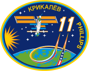 Expedition 11 insignia.svg