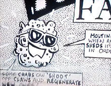 An illustration of a somewhat roundish Bob the Sponge with no arms or legs wearing sunglasses