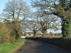 Approach to Feniton - geograph.org.uk - 1617402.jpg