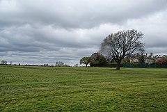 View across Ashton Park