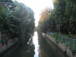 Hawthorne Canal looking downstream at Haberfield NSW.JPG