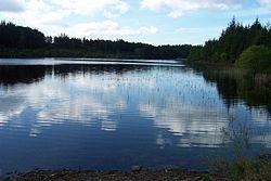 Llyn Goddionduon - geograph.org.uk - 197102.jpg