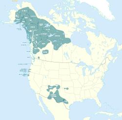 Na-Dene languages.svg