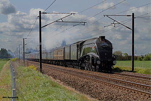 60019 Bittern at Flyfish Crossing.jpg