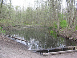 Avalon Pond, part of Everett Crowley Park.