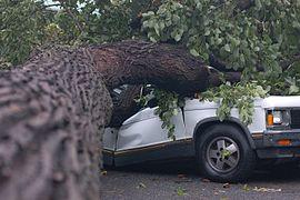 Brooklyntornado2007 2.jpg