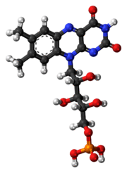 Ball-and-stick model of the flavin mononucleotide molecule