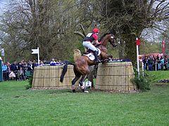 Fence 12, Badminton Horse Trials - geograph.org.uk - 794809.jpg