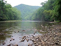 Shavers Fork Monongahela National Forest.jpg