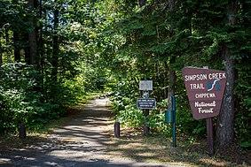 Chippewa National Forest - Social - 2.jpg