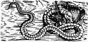 Soe Orm 1555.jpg