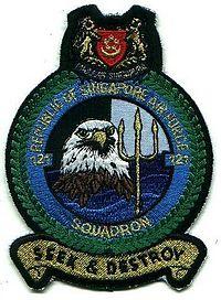 121Sqn shoulder patch.jpg