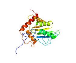 Protein APOBEC3G PDB 2JYW.png