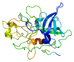 Protein PLAU PDB 1c5w.png