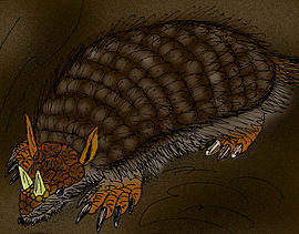 Peltephilus ferox.JPG