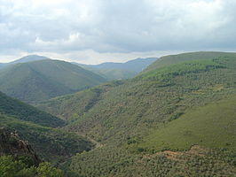 The surroundings of the village