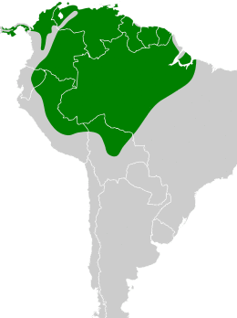 Amazona ochrocephala map.svg