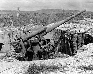Japanese 4-gun 120 mm DP battery - Guam.jpg