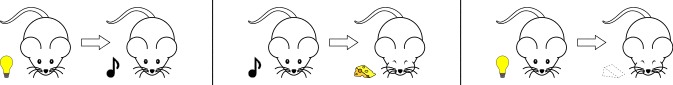Second Order Conditioning.svg