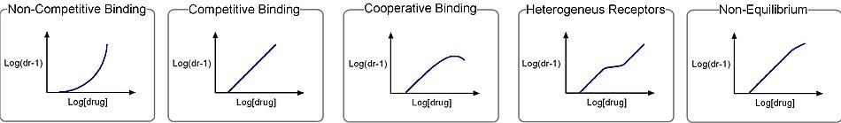 Schild regression bindings.jpg