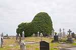 Clonkeenkerrill Friary South Transept 2009 09 16.jpg
