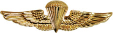 A gold image of a parachute with wings.