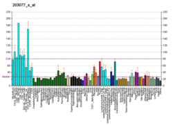 PBB GE SMAD2 203077 s at fs.png