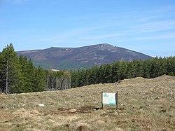 Site of the Battle of Glenlivet 1594 - geograph.org.uk - 1274748.jpg