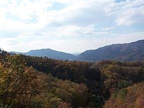 Greenbrier State Forest.jpg