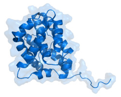 BAX protein 1F16.png