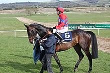 Barry Geraghty & Sprinter Sacre (Punchestown 2013).jpg