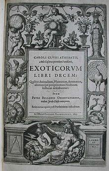 Carolus Clusius02.jpg