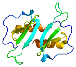 Protein CCL20 PDB 1m8a.png