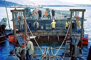 Hobart floating bridge decommissioning.jpg
