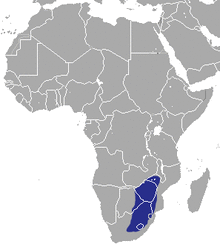 Eastern Rock Elephant Shrew area.png