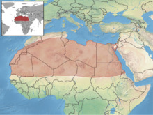Gerbillus gerbillus distribution.png