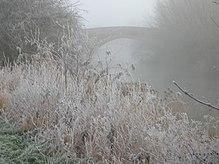 TADPOLE BRIDGE.JPG