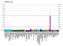 PBB GE CALCRL 210815 s at fs.png