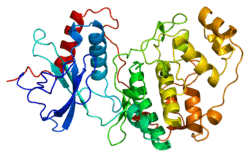 Protein MAPK1 PDB 1erk.png