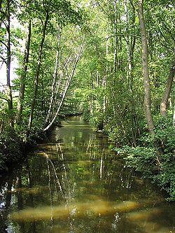 Schwalm 1 gross.jpg