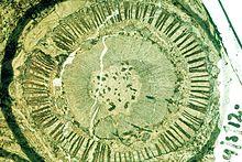 Lyginopteris oldhamiana.jpg