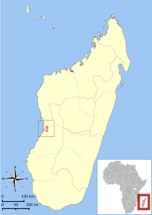 Microcebus berthae range map.svg
