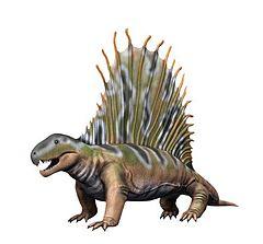 Dimetrodon NT2 small.jpg