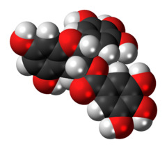 Space-filling model of the epigallocatechin gallate molecule