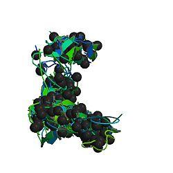 COL1A1 protein - PDB rendering based on 1y0f.jpg