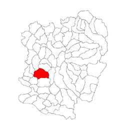 Location in Caraș-Severin County
