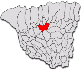 Location in Gorj County