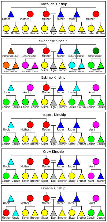 Charts of the six systems.